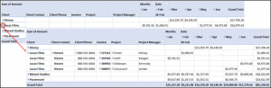 Using the Collapse Field Option to Simplify PivotTable Appearance