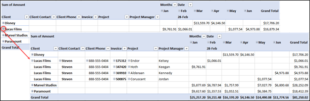 Using the Collapse Field Option to Simplify PivotTable Appearance