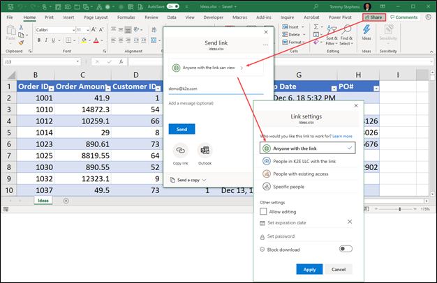 Sharing an Excel Document with Other Users