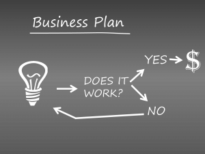 Business Plan for a COVID-preneur