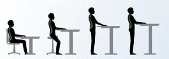 Sit Stand Desk Ergonomics