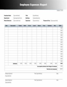 Expense Report